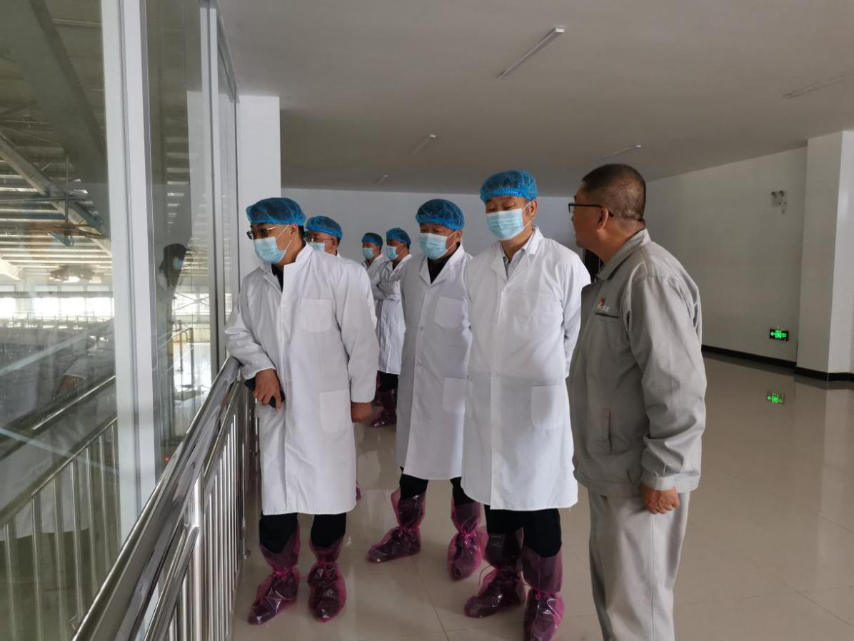 澳门威尼斯人赌场