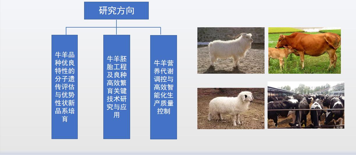 澳门威尼斯人赌场