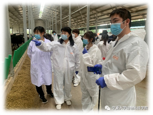 澳门威尼斯人赌场